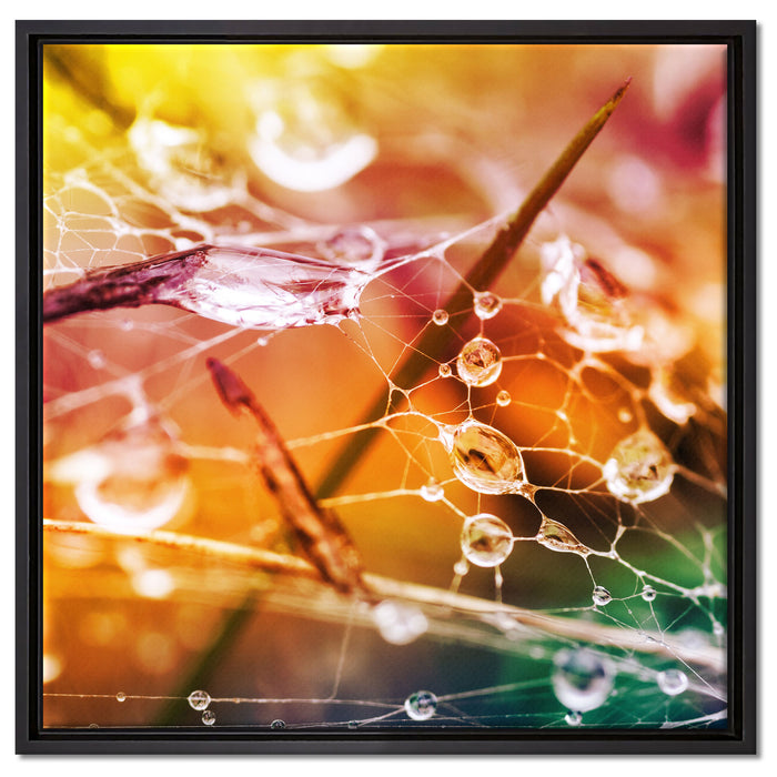 Spinnennetz mit Wassertropfen auf Leinwandbild Quadratisch gerahmt Größe 60x60