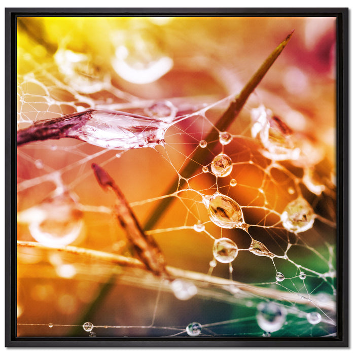 Spinnennetz mit Wassertropfen auf Leinwandbild Quadratisch gerahmt Größe 70x70