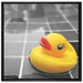 Quietsche Ente im Wasser auf Leinwandbild Quadratisch gerahmt Größe 70x70