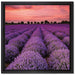 Wunderschöne Lavendel Provence auf Leinwandbild Quadratisch gerahmt Größe 40x40