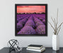 Wunderschöne Lavendel Provence  auf Leinwandbild Quadratisch gerahmt mit Kirschblüten