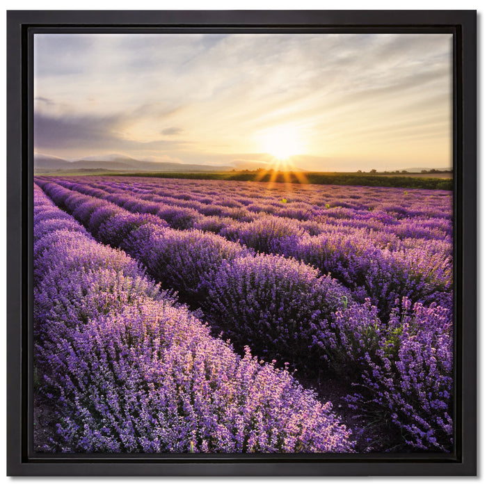 Traumhafte Lavendel Provence auf Leinwandbild Quadratisch gerahmt Größe 40x40