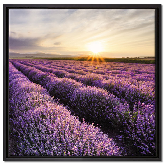 Traumhafte Lavendel Provence auf Leinwandbild Quadratisch gerahmt Größe 60x60