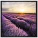 Traumhafte Lavendel Provence auf Leinwandbild Quadratisch gerahmt Größe 70x70