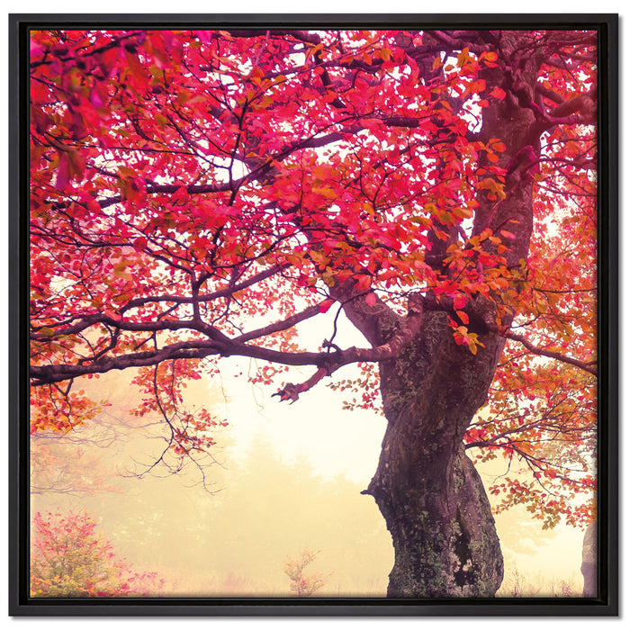 Traumhafte Herbstlandschaft auf Leinwandbild Quadratisch gerahmt Größe 70x70
