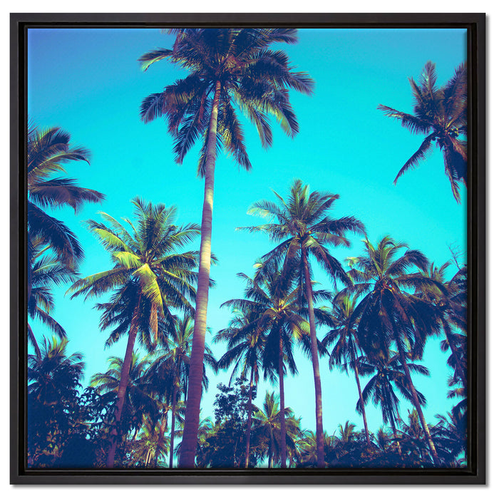 Tropische Palmen auf Leinwandbild Quadratisch gerahmt Größe 60x60