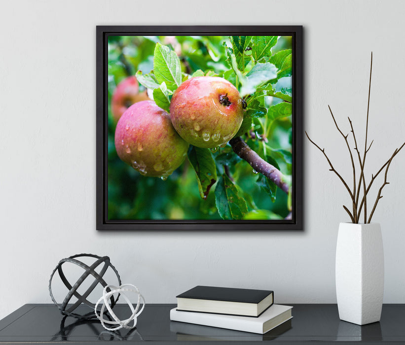 Köstliche wilde Äpfel  auf Leinwandbild Quadratisch gerahmt mit Kirschblüten