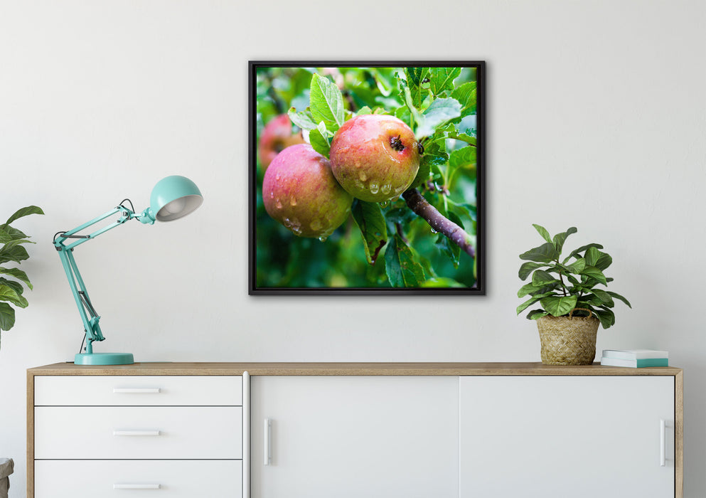 Köstliche wilde Äpfel auf Leinwandbild gerahmt Quadratisch verschiedene Größen im Wohnzimmer