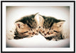 Katzen Herzform Passepartout 100x70