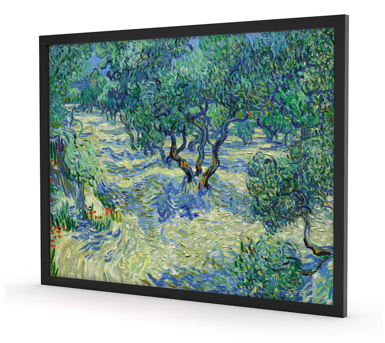 Vincent Van Gogh - Oliven-Feld , Poster mit Bilderrahmen