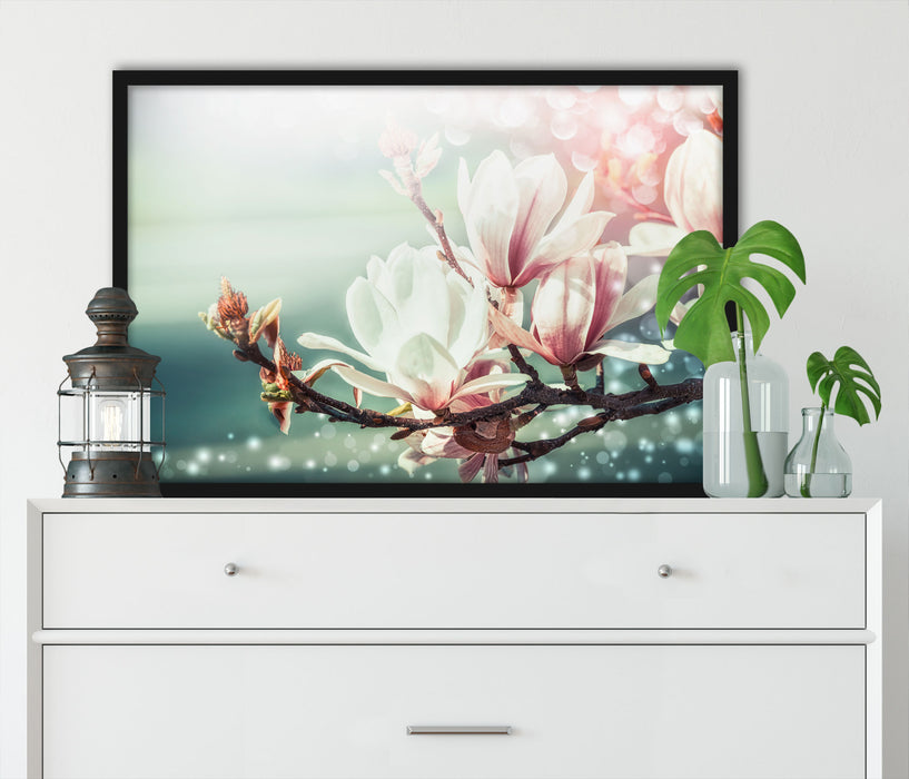 Wunderschöne Magnolien Nahaufnahme, Poster mit Bilderrahmen