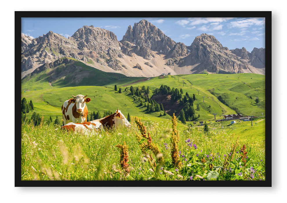 Alpenszene mit Kühen auf grüner Wiese, Poster mit Bilderrahmen
