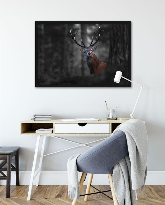 Hirsch im Wald schaut neugierig in die Kamera B&W Detail, Poster mit Bilderrahmen