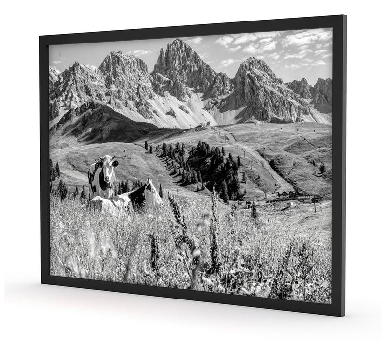 Alpenszene mit Kühen auf grüner Wiese, Monochrome, Poster mit Bilderrahmen
