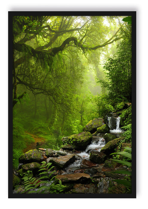 Kleinder Wasserfall im Dschungel, Poster mit Bilderrahmen