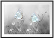 Schmetterling auf kleinen Blumen Passepartout 100x70