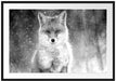 Roter Fuchs im Winter, Monochrome Passepartout Rechteckig 100