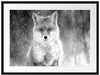 Roter Fuchs im Winter, Monochrome Passepartout Rechteckig 80