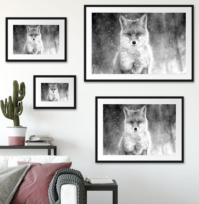Roter Fuchs im Winter, Monochrome Passepartout Wohnzimmer Rechteckig