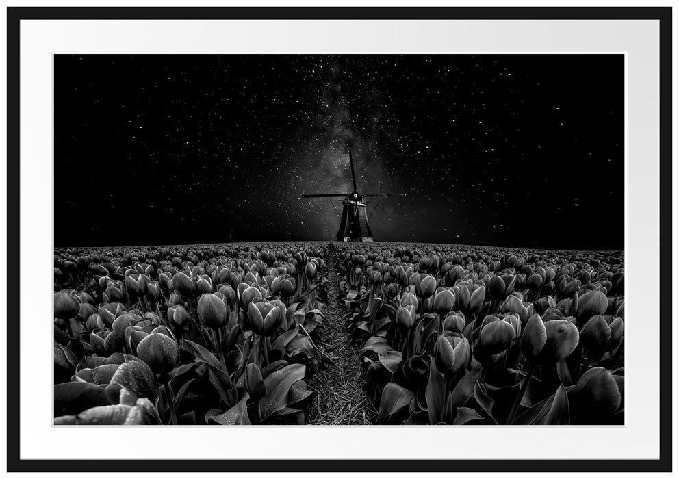 Tulpenfeld mit Windmühle bei Nacht, Monochrome Passepartout Rechteckig 100