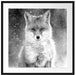 Roter Fuchs im Winter, Monochrome Passepartout Quadratisch 70