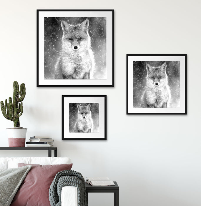Roter Fuchs im Winter, Monochrome Passepartout Wohnzimmer Quadratisch