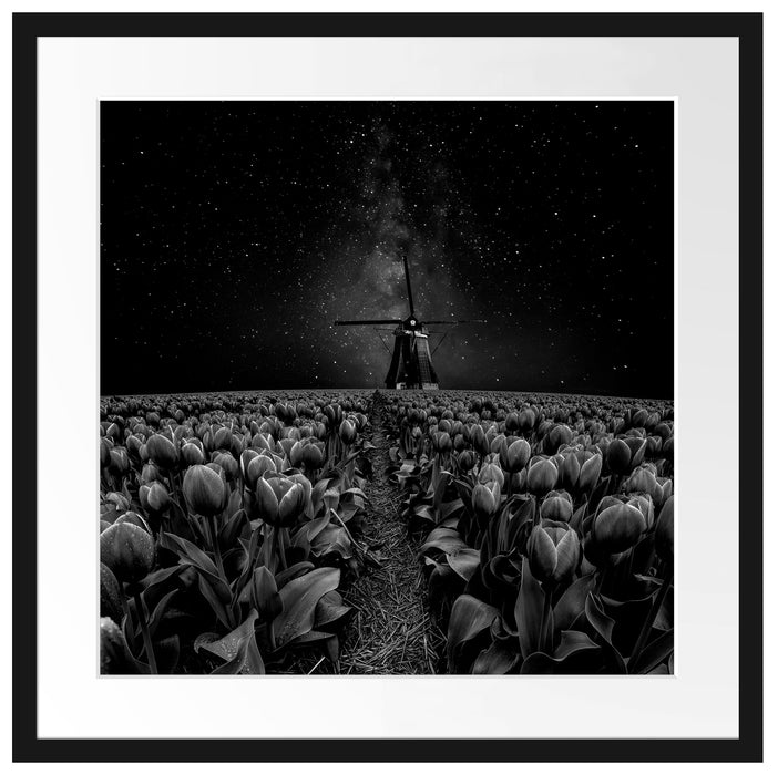 Tulpenfeld mit Windmühle bei Nacht, Monochrome Passepartout Quadratisch 55