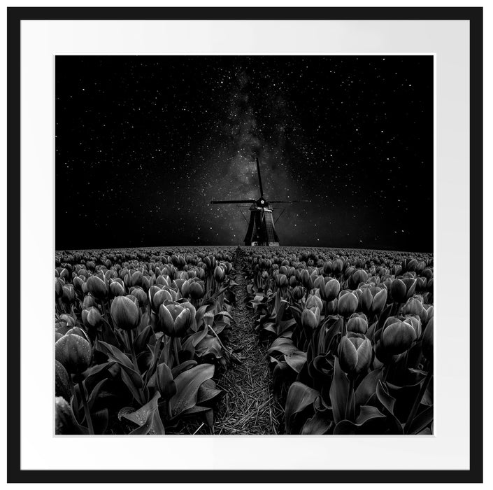 Tulpenfeld mit Windmühle bei Nacht, Monochrome Passepartout Quadratisch 70