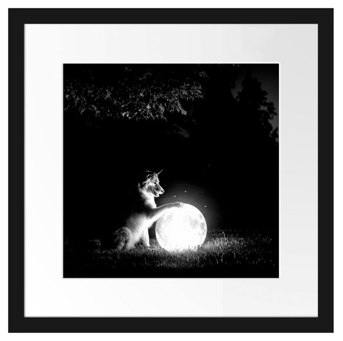 Hund mit leuchtendem Mond bei Nacht, Monochrome Passepartout Quadratisch 40