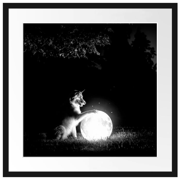 Hund mit leuchtendem Mond bei Nacht, Monochrome Passepartout Quadratisch 55