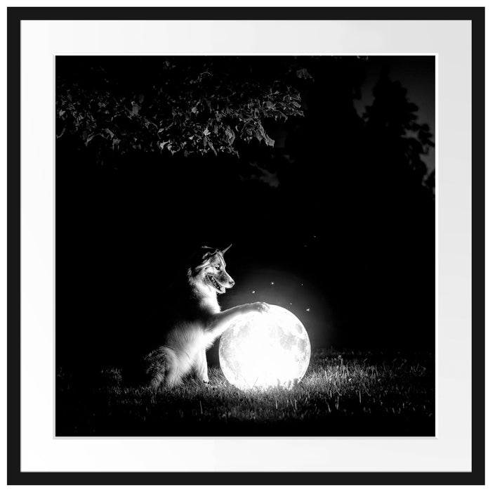 Hund mit leuchtendem Mond bei Nacht, Monochrome Passepartout Quadratisch 70