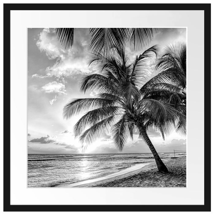 Palmen im Sonnenuntergang auf Barbados, Monochrome Passepartout Quadratisch 55