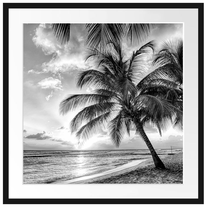 Palmen im Sonnenuntergang auf Barbados, Monochrome Passepartout Quadratisch 70