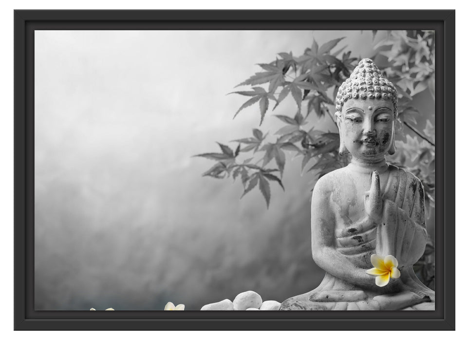 Buddha mit Monoi Blüte in der Hand Schattenfugenrahmen 55x40