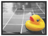Quietsche Ente im Wasser Schattenfugenrahmen 80x60