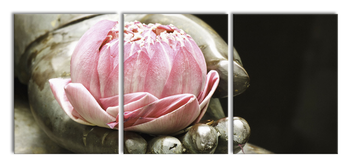 Lotus auf der Hand eines Buddhas, XXL Leinwandbild als 3 Teiler