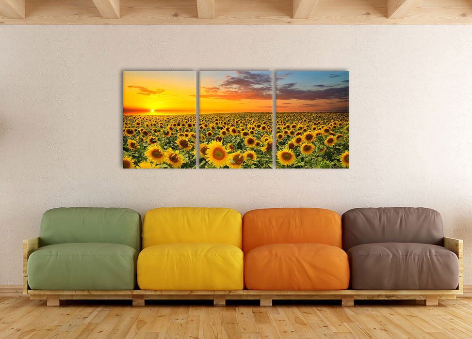 Sonnenuntergang Sonnenblumen, XXL Leinwandbild als 3 Teiler