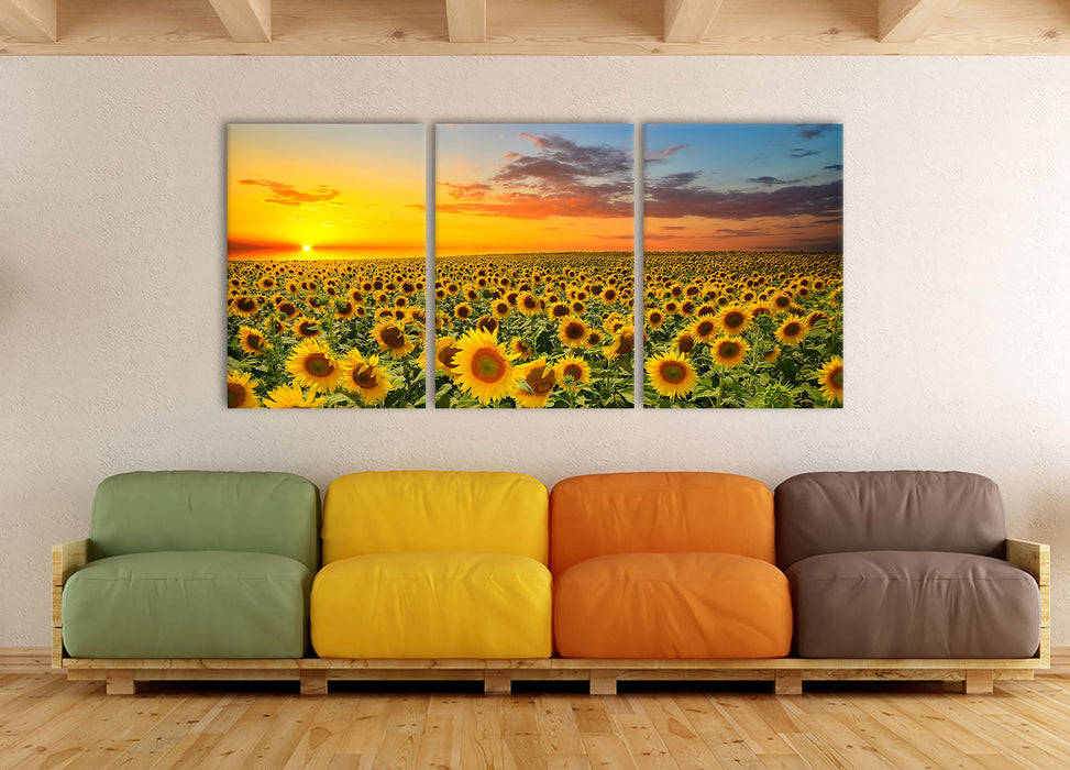 Sonnenuntergang Sonnenblumen, XXL Leinwandbild als 3 Teiler
