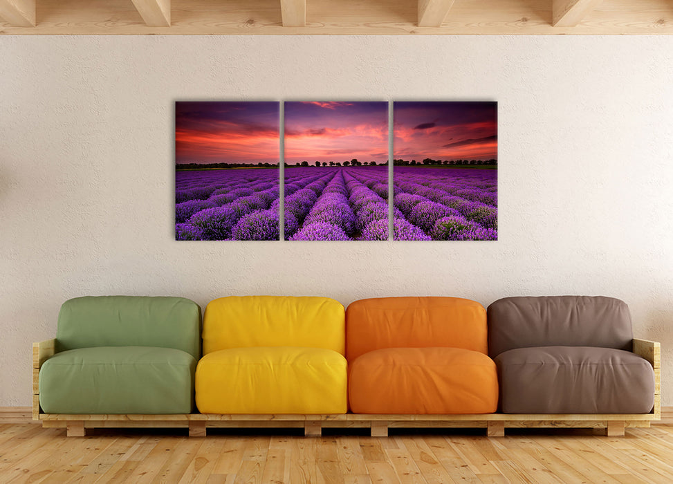 Wunderschöne Lavendel Provence, XXL Leinwandbild als 3 Teiler