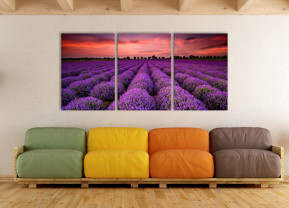 Wunderschöne Lavendel Provence, XXL Leinwandbild als 3 Teiler