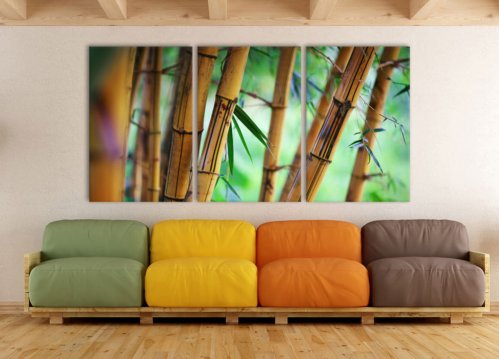 Alter Bambus Wald, XXL Leinwandbild als 3 Teiler