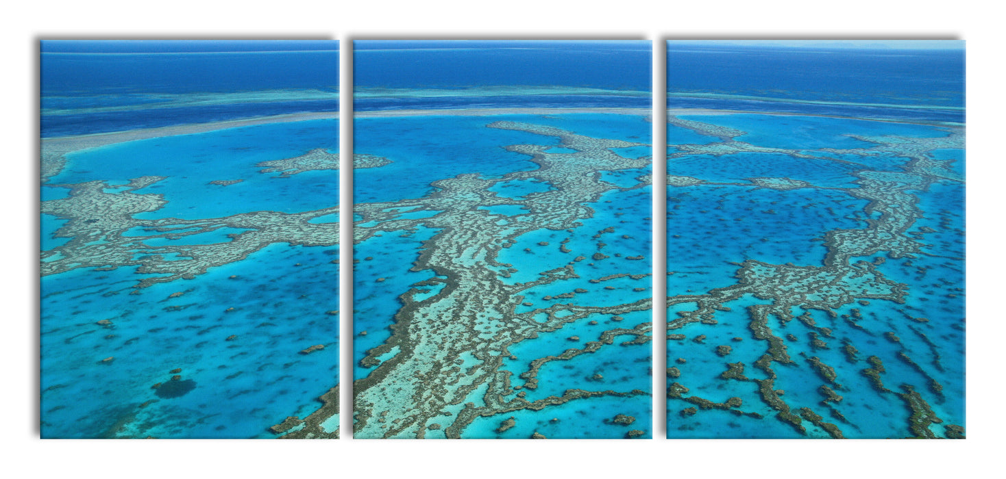 Wunderschöne Ozean Riffe, XXL Leinwandbild als 3 Teiler