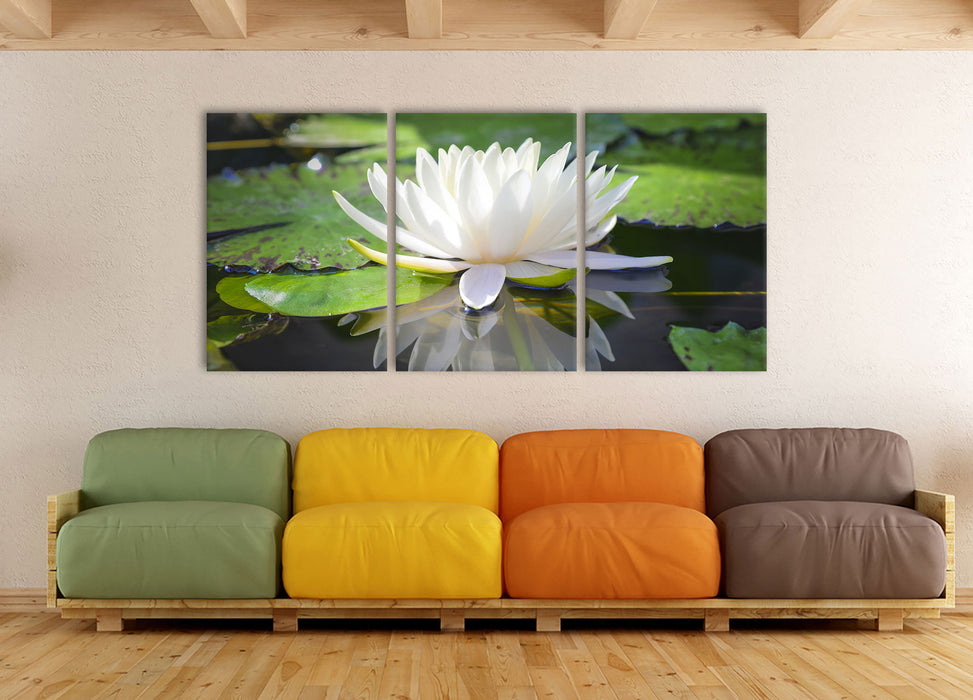 Weiße Lotusblume im Wasser, XXL Leinwandbild als 3 Teiler
