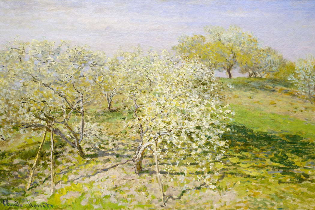 Claude Monet - Frühling Apfelbäume in der Blüte, Glasbild