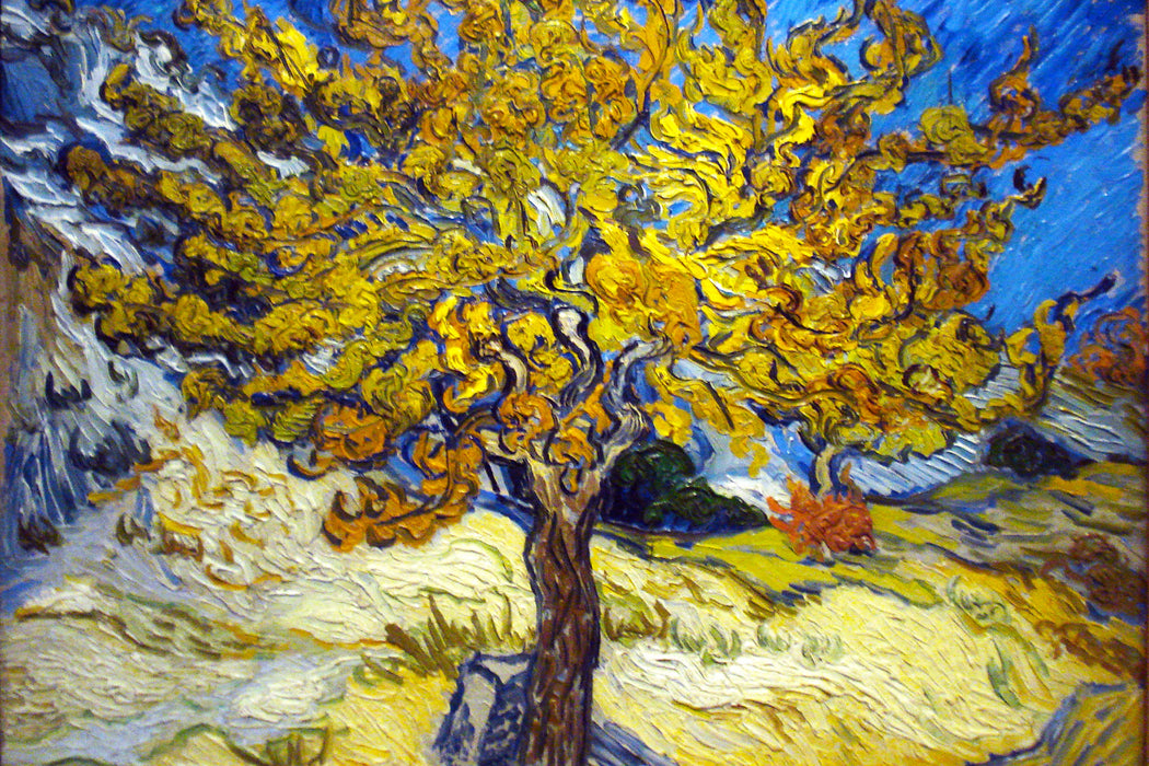 Vincent Van Gogh - Maulbeerbaum, Glasbild
