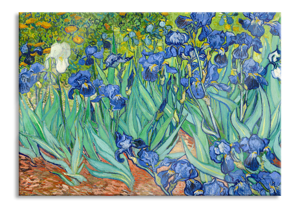 Pixxprint Vincent Van Gogh - Schwertlilien, Glasbild