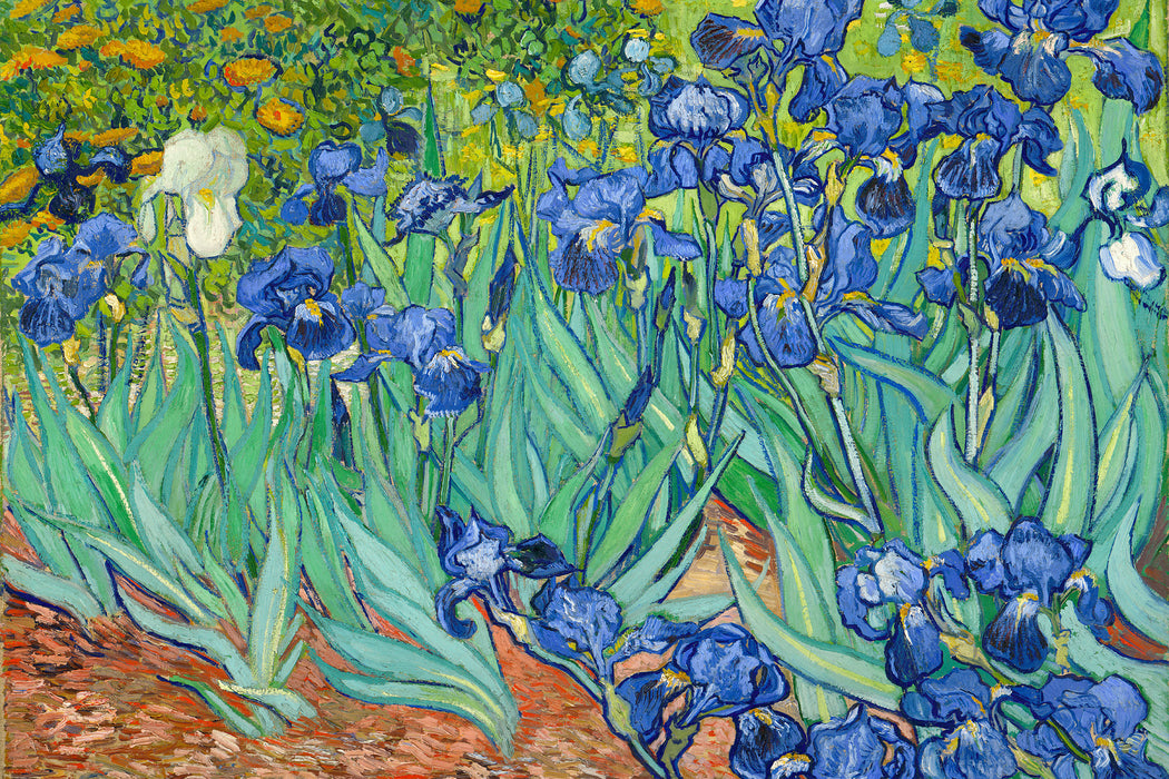 Vincent Van Gogh - Schwertlilien, Glasbild
