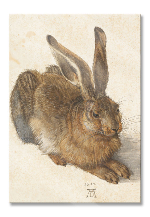 Pixxprint Albrecht Dürer - Feldhase , Glasbild