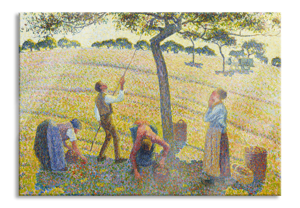 Pixxprint Camille Pissarro - Apple Harvest, Glasbild