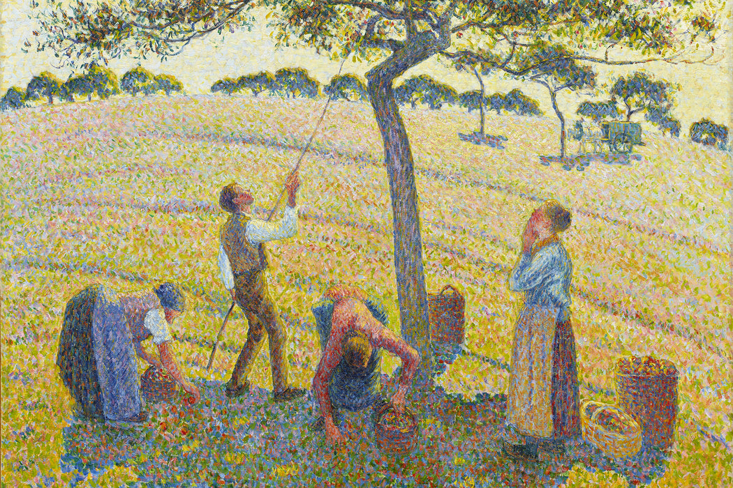 Camille Pissarro - Apple Harvest, Glasbild